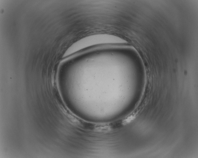 X0000076440185200610271808