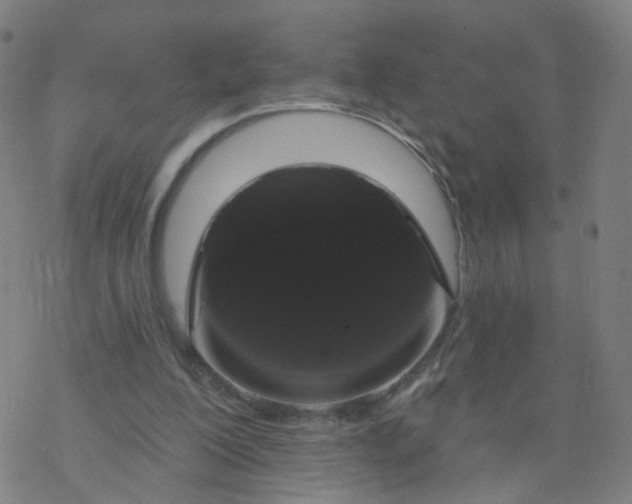 X0000076440200200610271807
