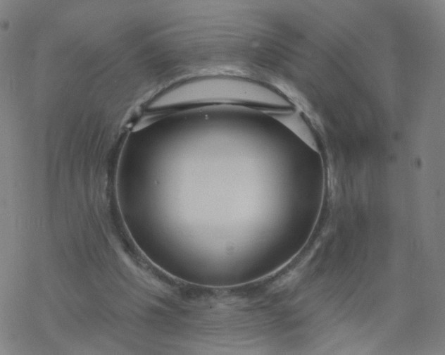 X0000076440201200610271807