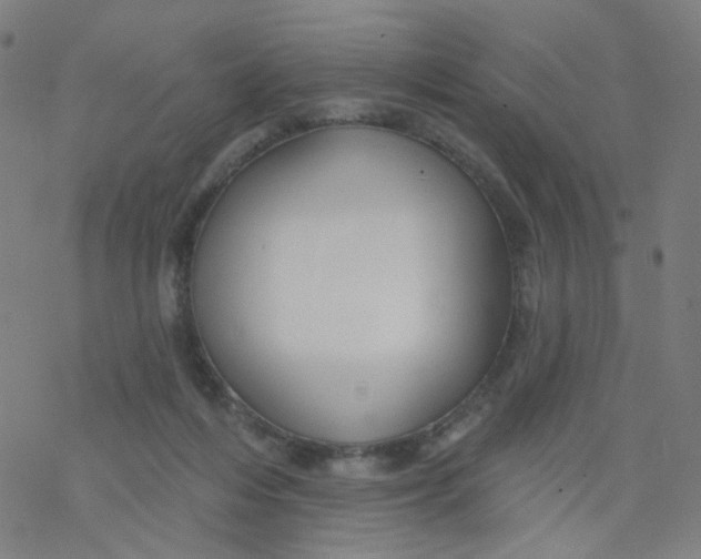X0000076440216200610271807