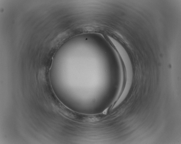 X0000076440217200610271807
