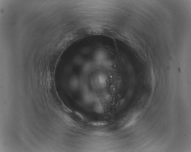 X0000076440223200610271807