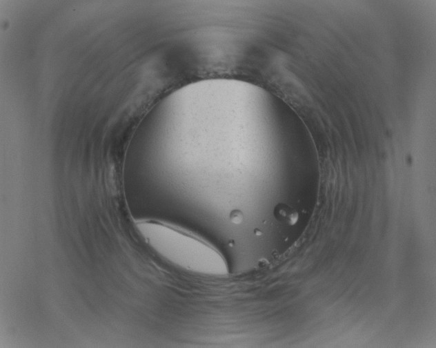 X0000076440224200610271807