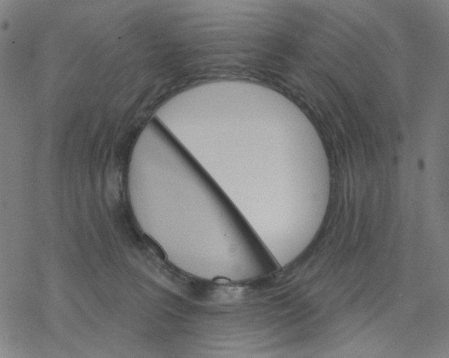 X0000076440227200610271807