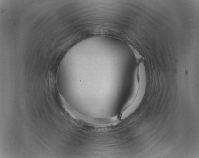 X0000076440228200610271807