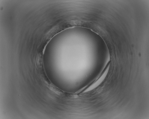 X0000076440233200610271807