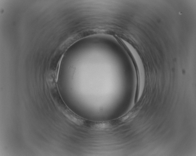 X0000076440237200610271807