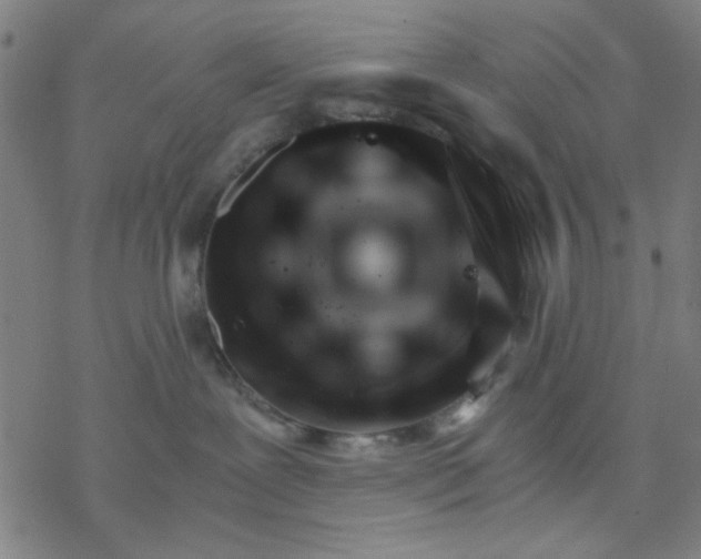 X0000076440239200610271806