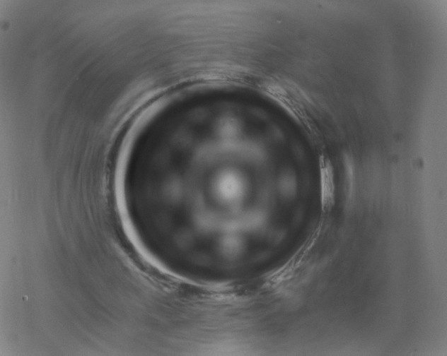 X0000076440243200610271806