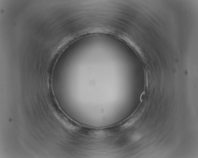 X0000076440253200610271806