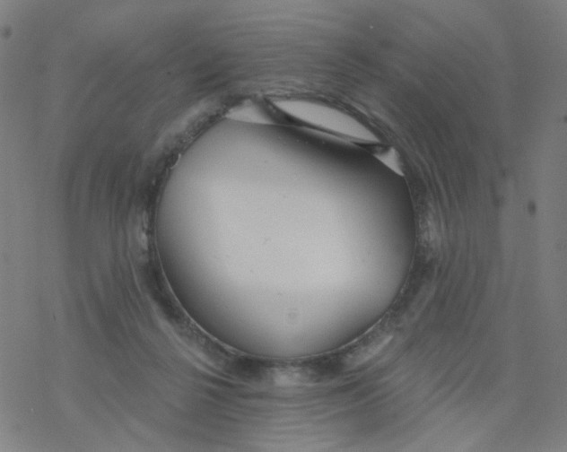 X0000076440264200610271806