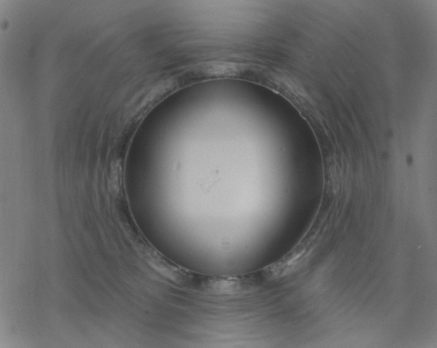 X0000076440325200610271805
