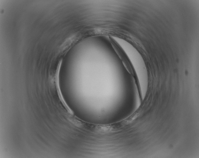 X0000076440329200610271805
