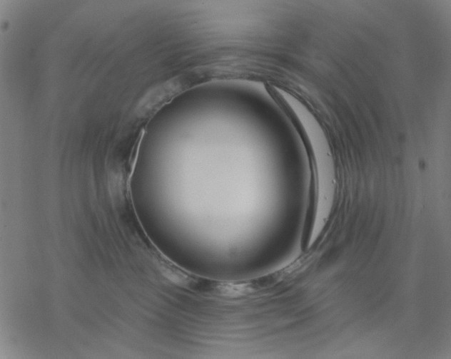 X0000076440333200610271805