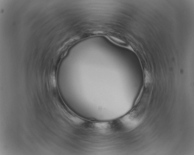 X0000076440376200610271805