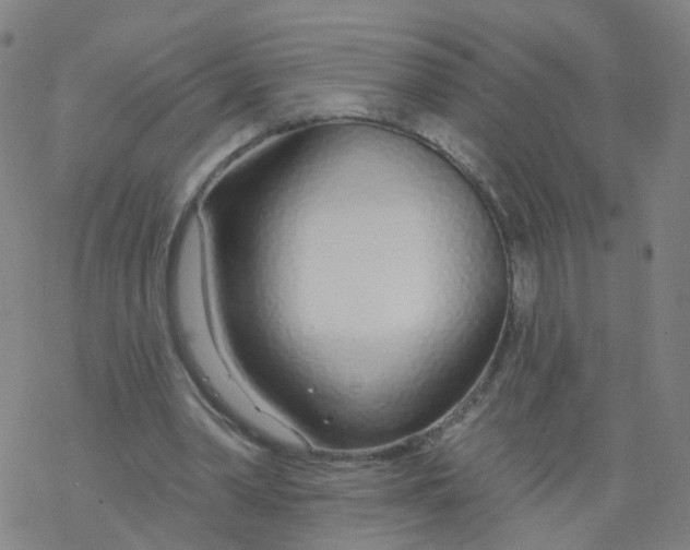 X0000076440390200610271804