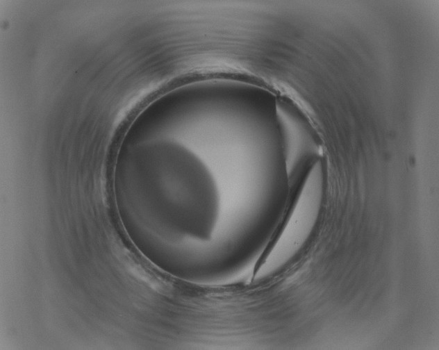 X0000076440391200610271804