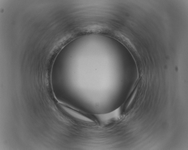X0000076440403200610271804