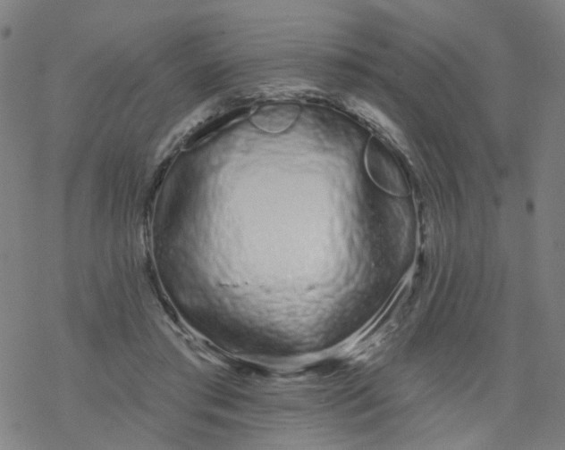 X0000076440405200610271804