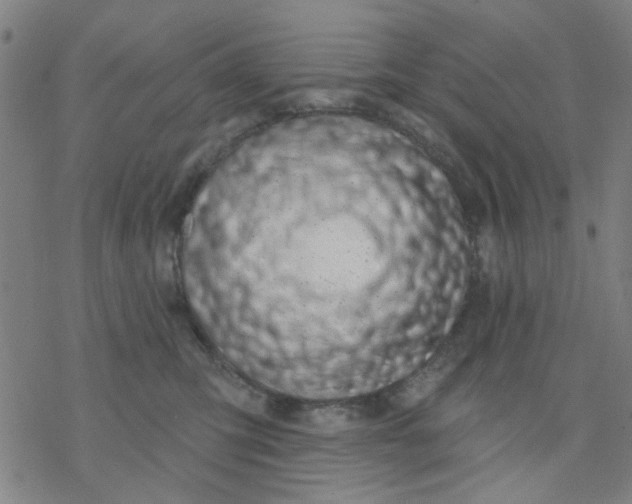 X0000076440423200610271803