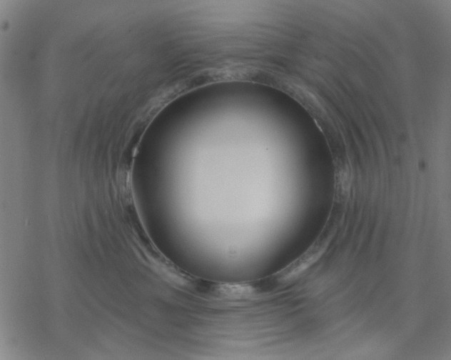 X0000076440429200610271803