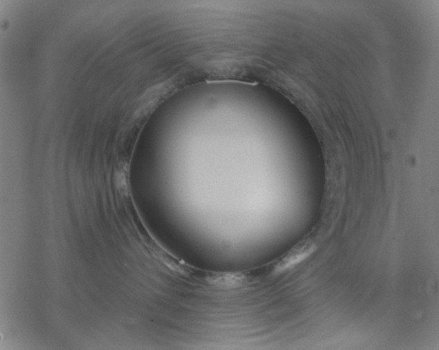 X0000076440432200610271803