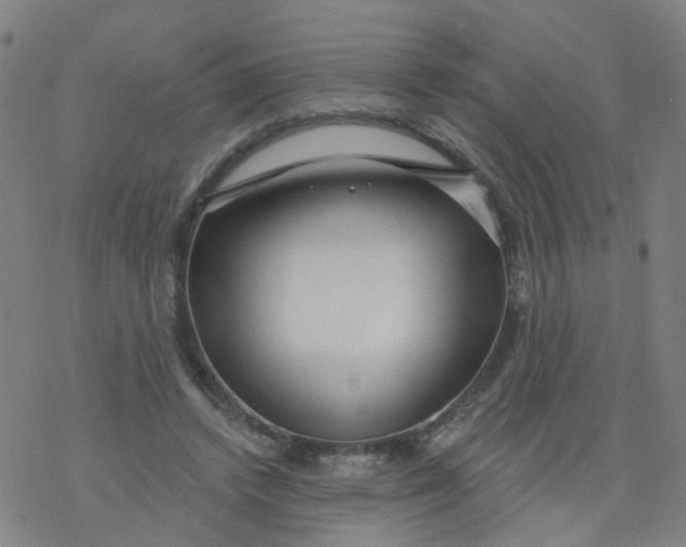 X0000076440448200610271803
