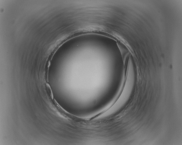 X0000076440485200610271802