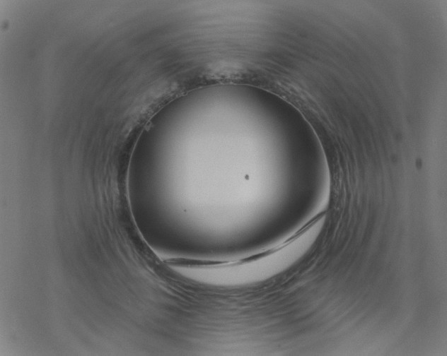 X0000076440508200610271802