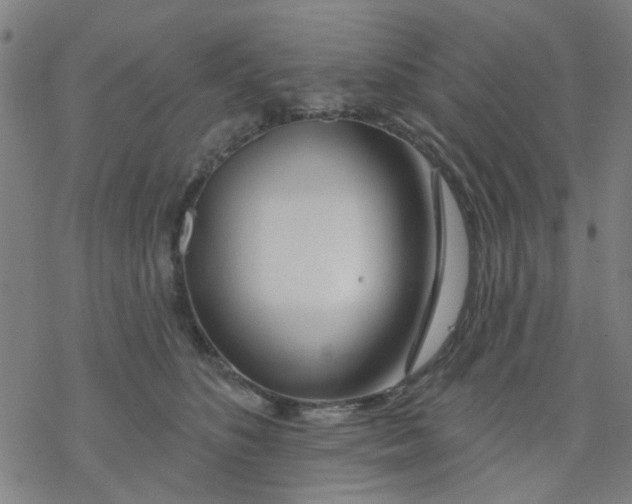 X0000076440516200610271802