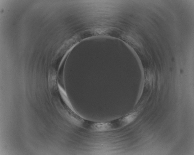 X0000076440526200610271802