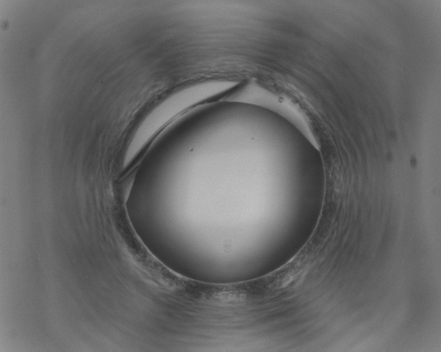 X0000076440546200610271801