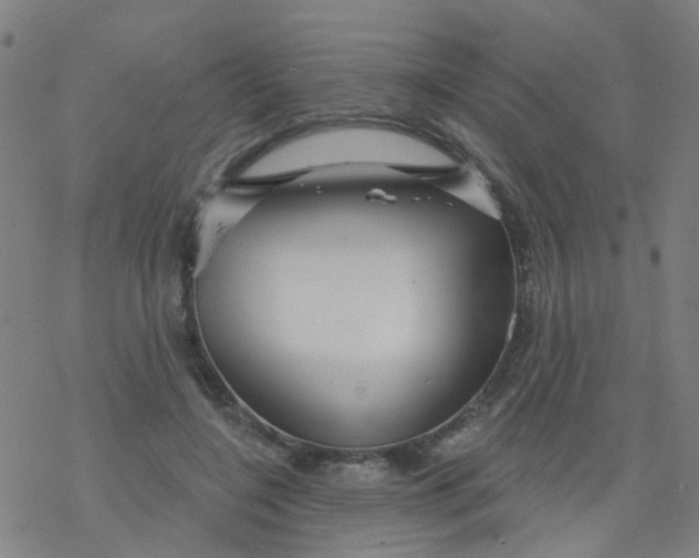 X0000076440548200610271801