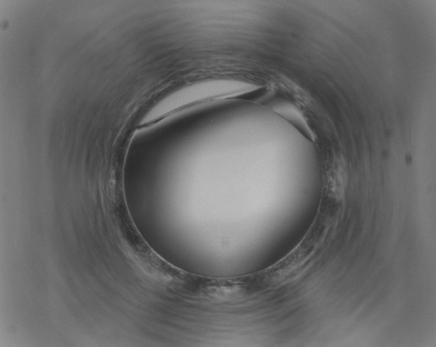 X0000076440552200610271801