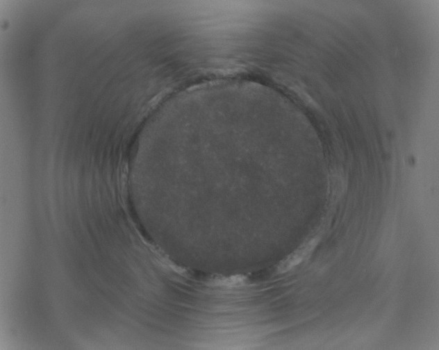 X0000076440576200610271802