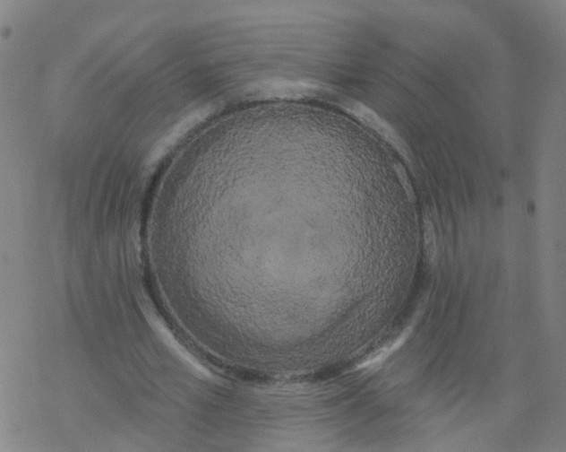 X0000076440581200610271801