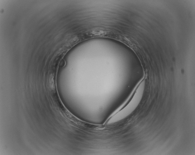 X0000076440606200610271801