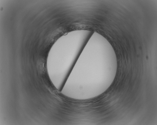 X0000076440615200610271800