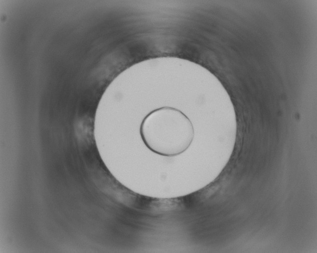 X0000076440672200610271800