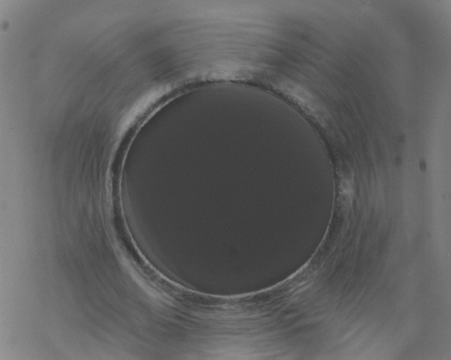 X0000076440678200610271759