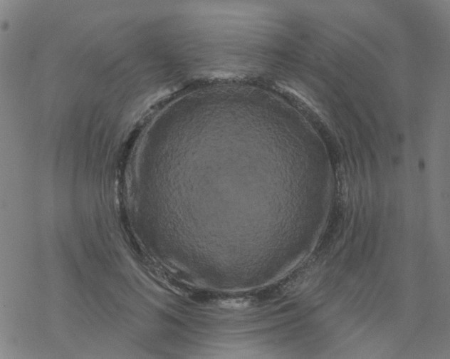 X0000076440692200610271759