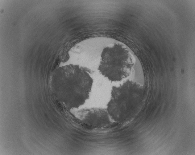 X0000076440699200610271759