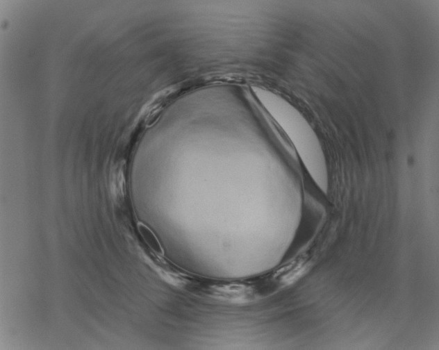 X0000076440708200610271759