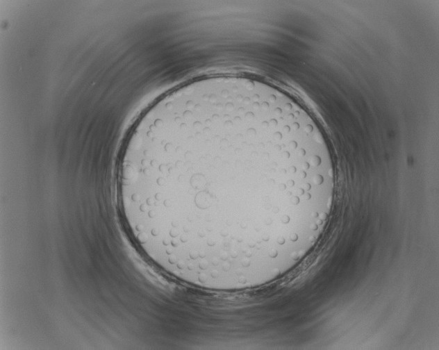 X0000076440795200610271757