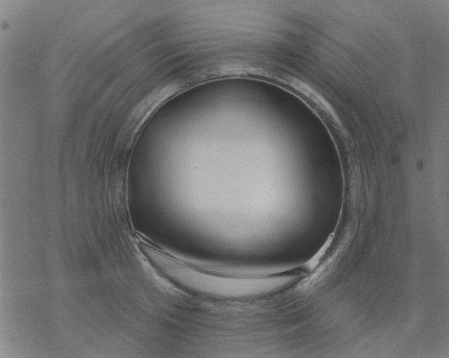 X0000076440801200610271757