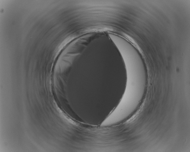 X0000076440802200610271757