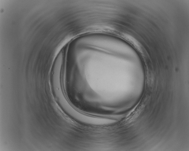 X0000076440899200610271756