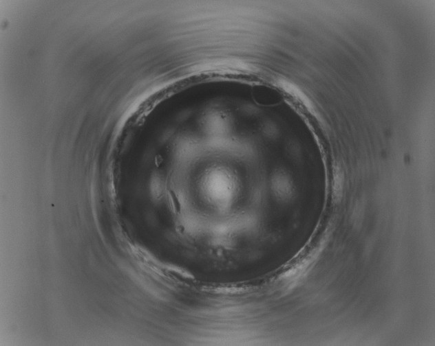 X0000076440923200610271755