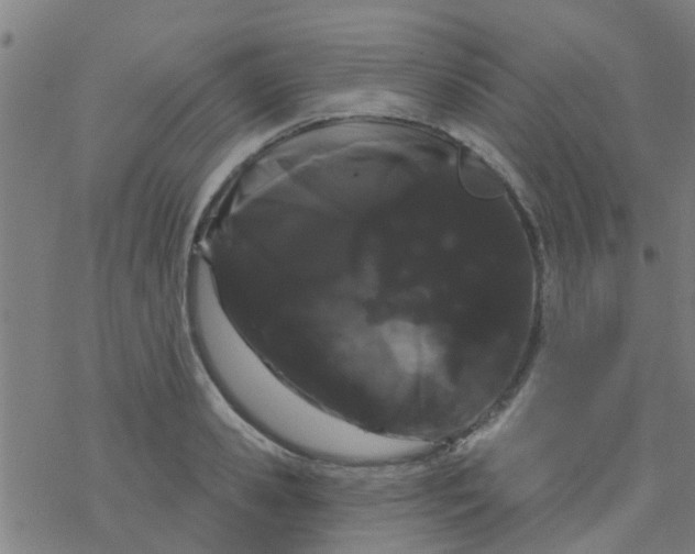 X0000076440941200610271755