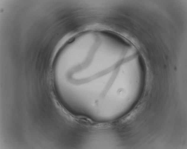 X0000076441008200610271754